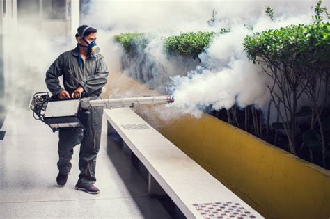 fogging services prices